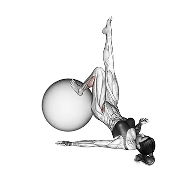Single Leg Extension (on stability ball)