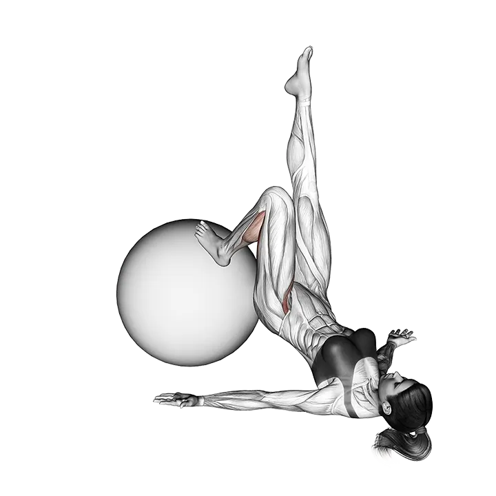 Single Leg Extension (on stability ball) exercise animation (Mujer)