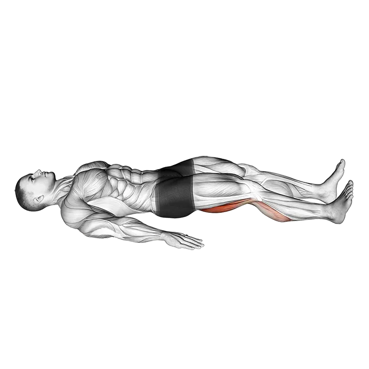 Single Leg Platform Slide exercise animation (Male)