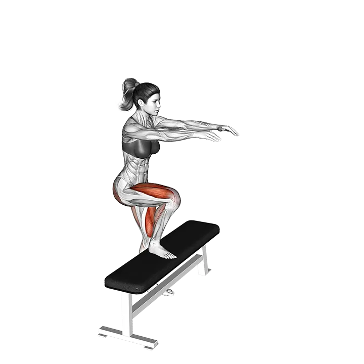 Single Leg Step-up exercise animation (Female)