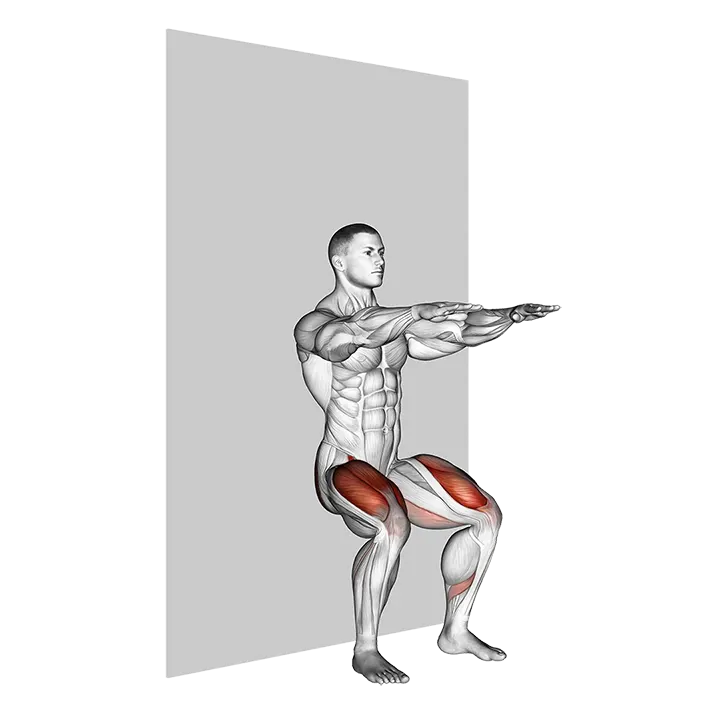 Sit (wall) exercise animation (Male)