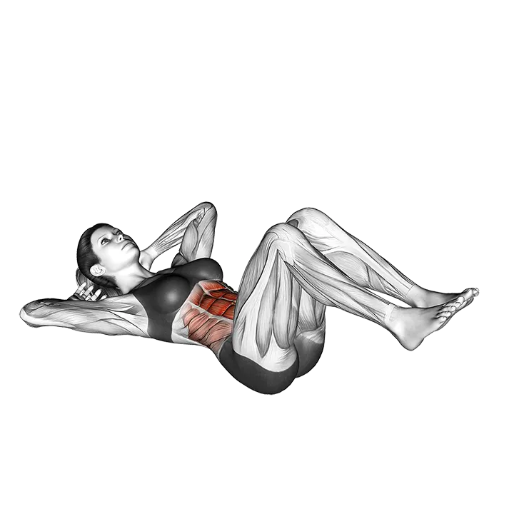 Sit-Up exercise animation (Female)