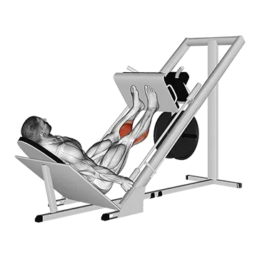 Sled 45┬░ Calf Press