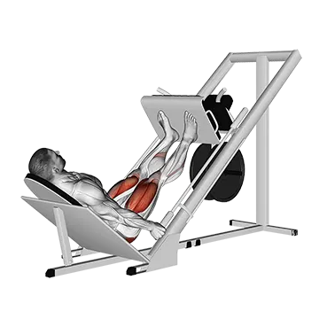 Sled 45┬░ Leg Press