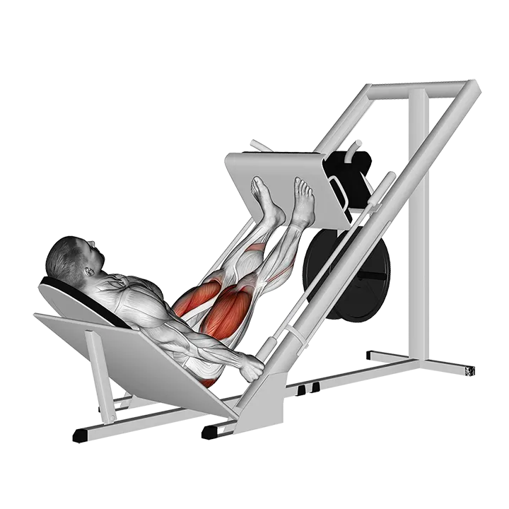 Sled 45° Leg Press exercise animation (Male)