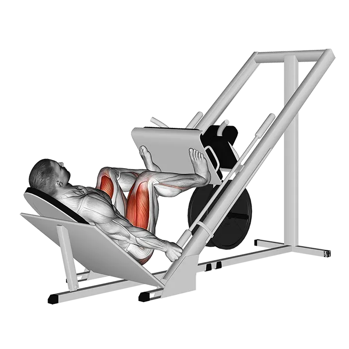 Sled 45° Leg Wide Press exercise animation (Male)