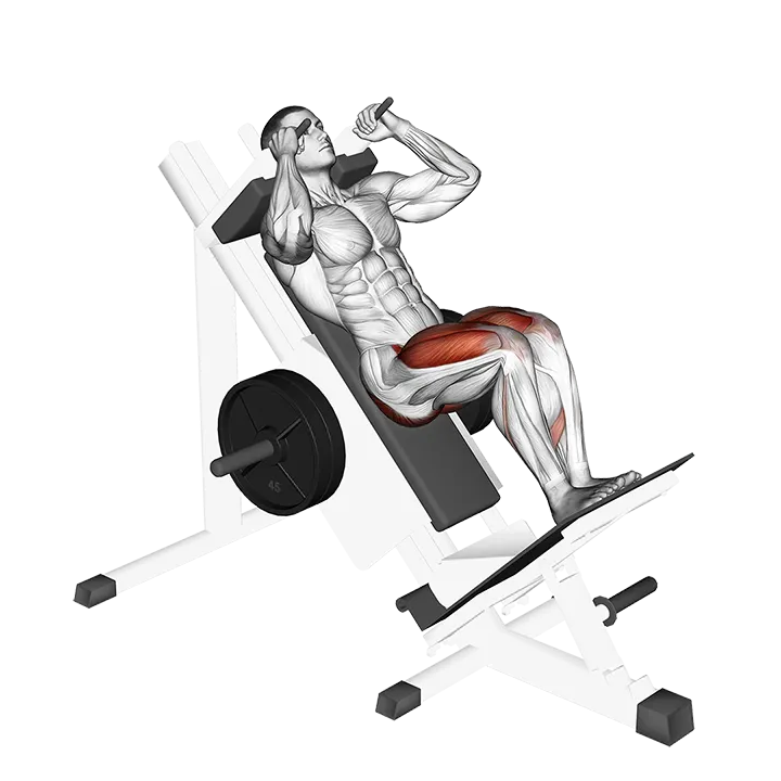 Sled Closer Hack Squat exercise animation (Male)