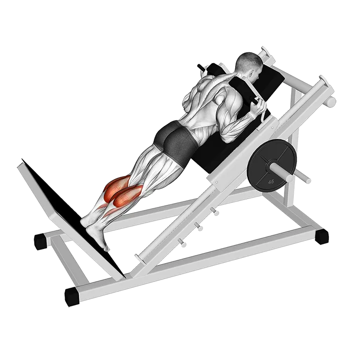 Sled Forward Angled Calf Raise exercise animation (Male)