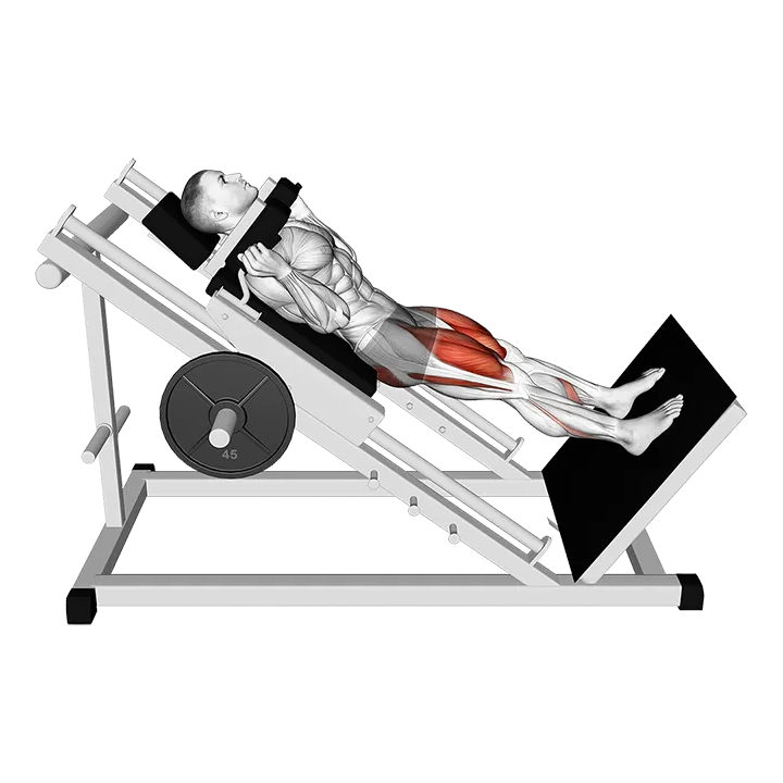 Sled Hack Squat exercise animation (Male)