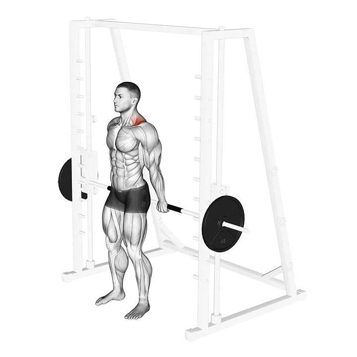 Smith Back Shrug exercise animation (Male)
