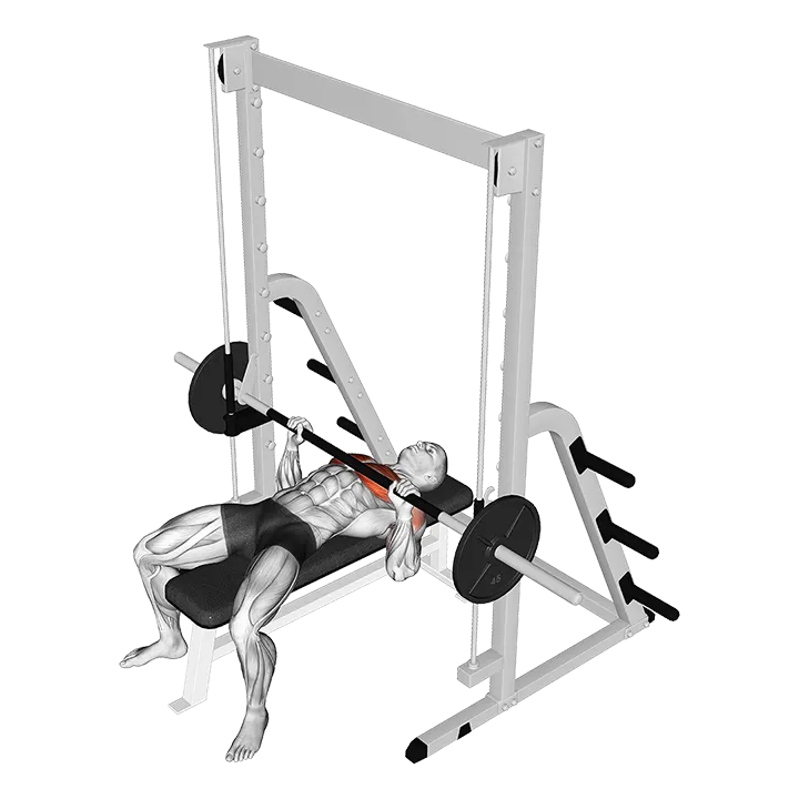 Smith Bench Press exercise animation (Male)