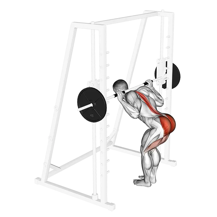 Smith Bent Knee Good morning exercise animation (Male)