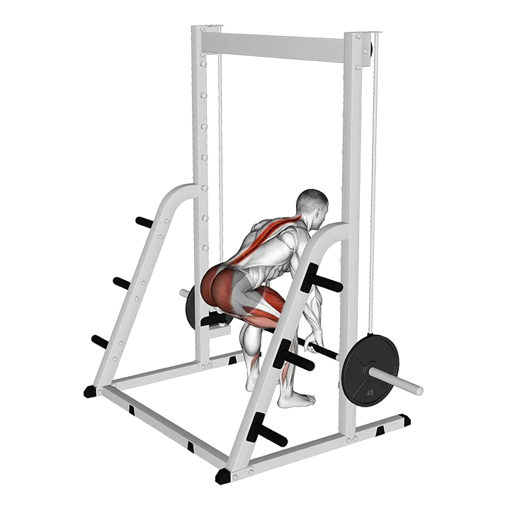 Smith Deadlift exercise animation (Male)