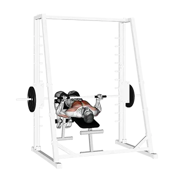 Smith Decline Reverse-grip Press