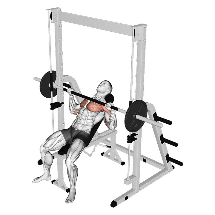Smith Incline Bench Press exercise animation (Male)