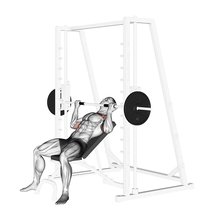 Smith Incline Reverse-grip Press exercise animation (Male)