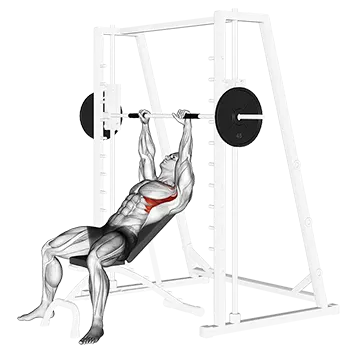 Smith Incline Shoulder Raises