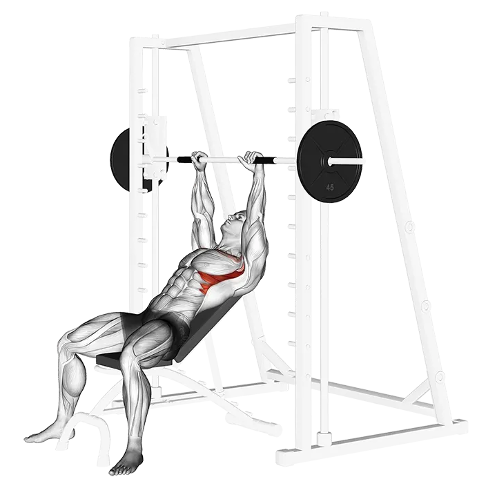 Smith Incline Shoulder Raises exercise animation (Male)