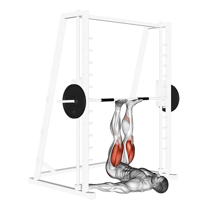 Smith Leg Press exercise animation (Male)