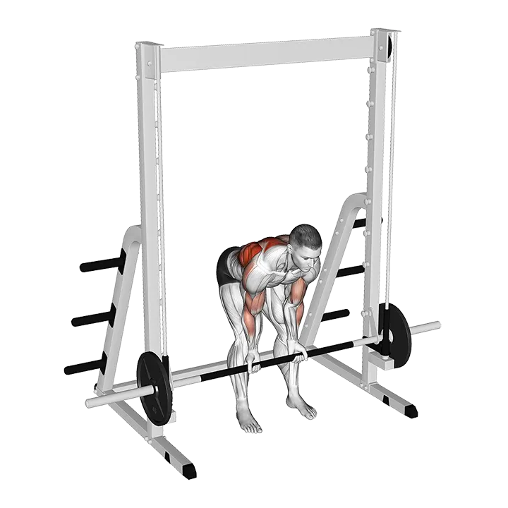 Smith Bent Over Narrow Supinated Grip Row exercise animation (Hombre)