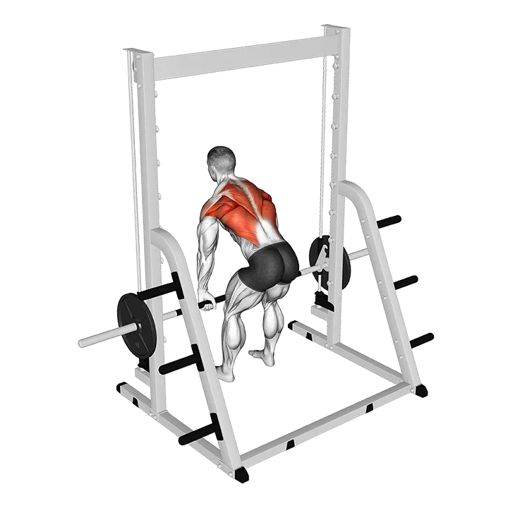 Smith Bent Over Row (VERSION 2) exercise animation (Male)