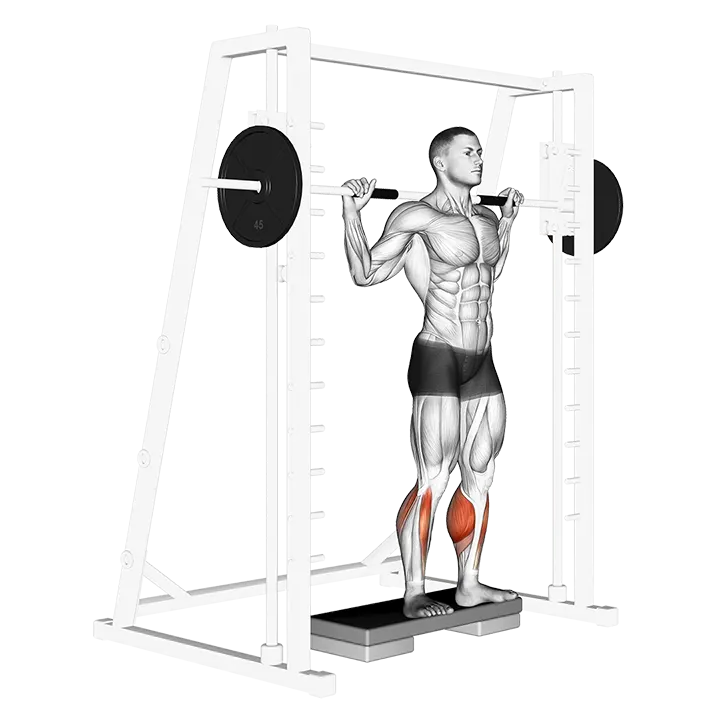 Smith Reverse Calf Raises exercise animation (Male)