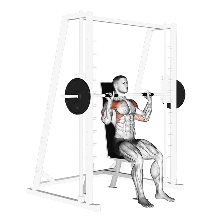 Smith Seated Shoulder Press exercise animation (Männlich)