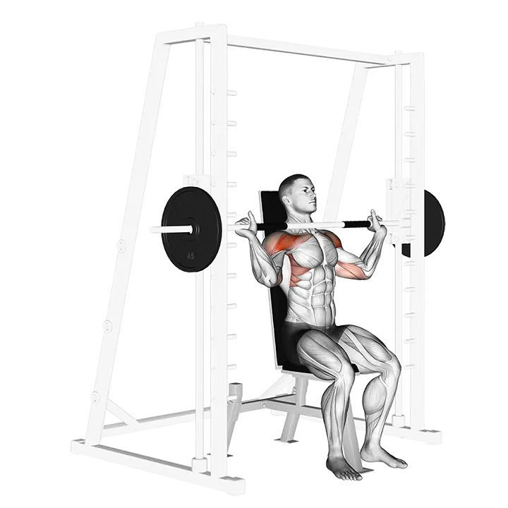 Smith Shoulder Press exercise animation (Male)