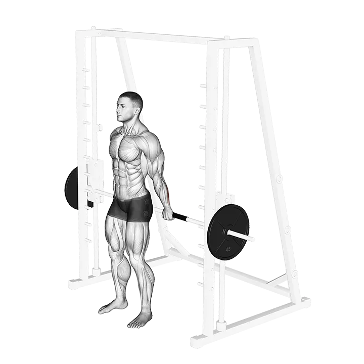 Smith Standing Back Wrist Curl exercise animation (Male)
