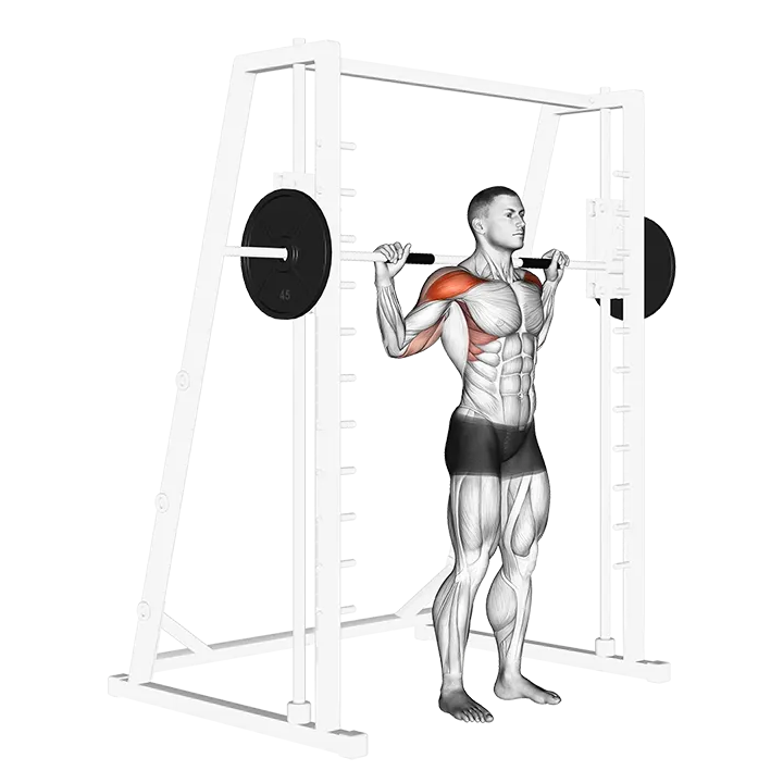 Smith Standing Behind Head Military Press exercise animation (Male)