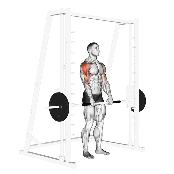 Smith Upright Row exercise animation (Male)