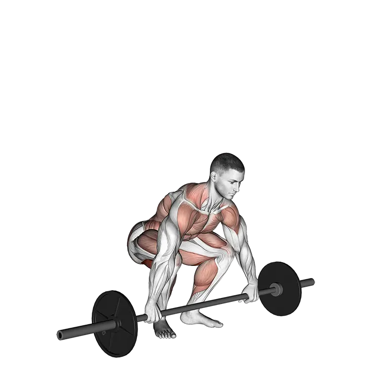 Snatch Pull exercise animation (Männlich)