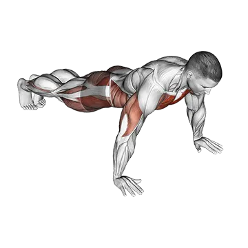 Spider Crawl Push up