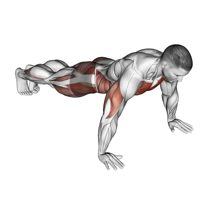 Spider Crawl Push up exercise animation (Male)