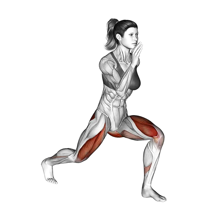 Split Squat exercise animation (Female)