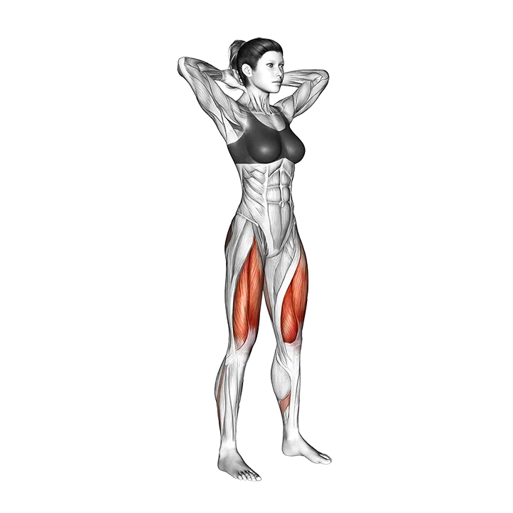 Squat (arms overhead) exercise animation (Female)