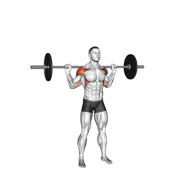 Standing Behind Neck Press exercise animation (Male)
