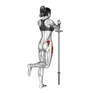 Standing Hip Abduction (bent knee)