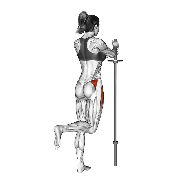 Standing Hip Abduction (bent knee) exercise animation (Weiblich)
