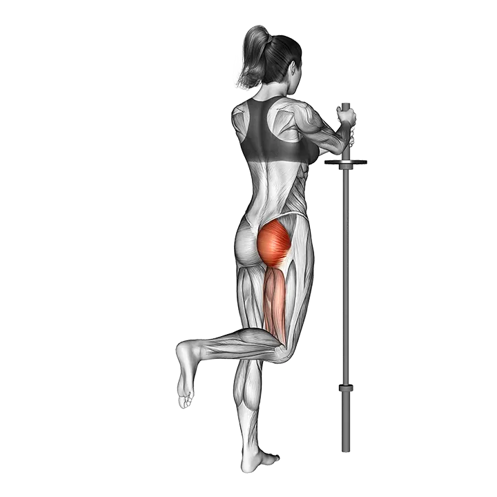 Standing Hip Extension (bent knee) exercise animation (Female)
