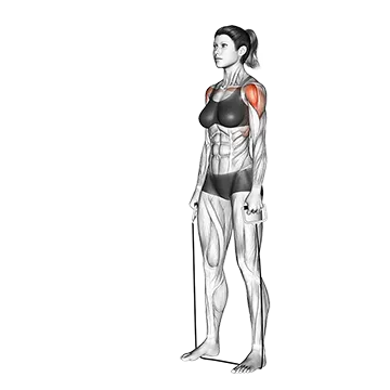 Standing Lateral Raise (with band)