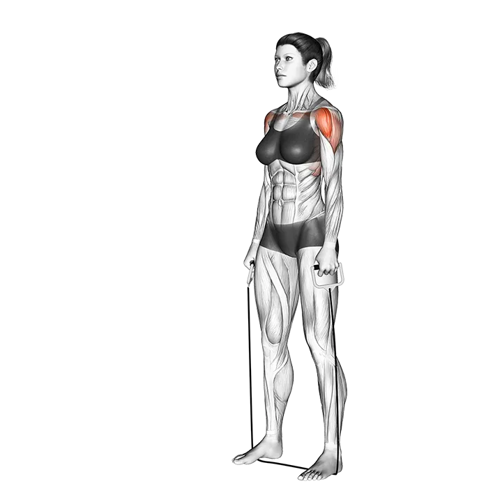 Standing Lateral Raise (with band) exercise animation (Female)