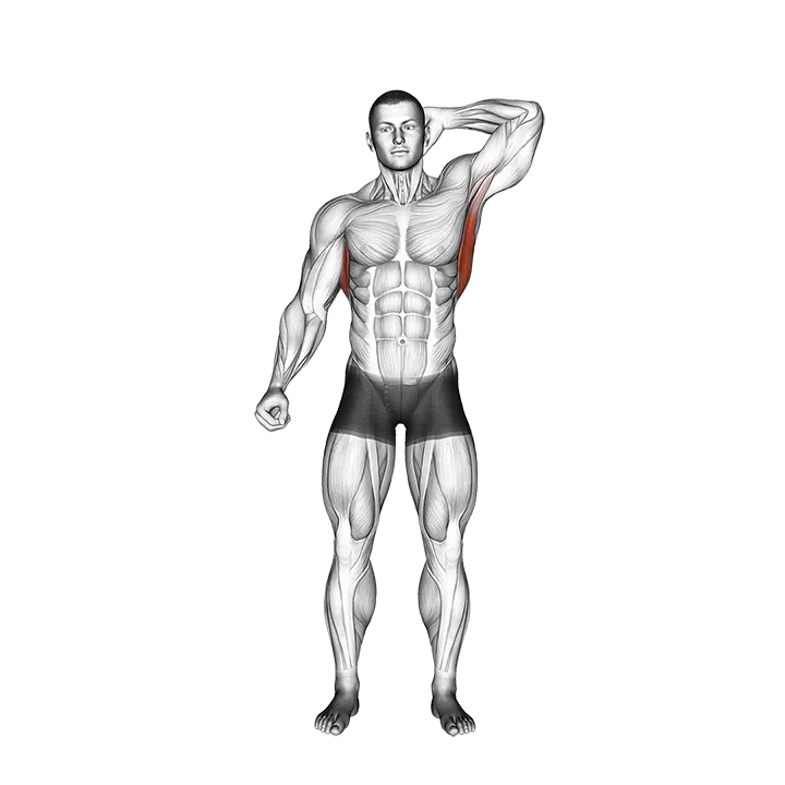 Standing Lateral Stretch exercise animation (Male)