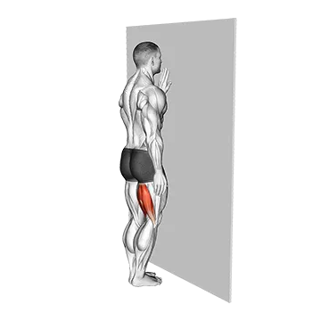 Standing Single Leg Curl