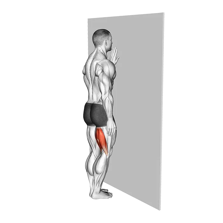 Standing Single Leg Curl exercise animation (Male)