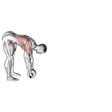 Standing Wheel Rollout