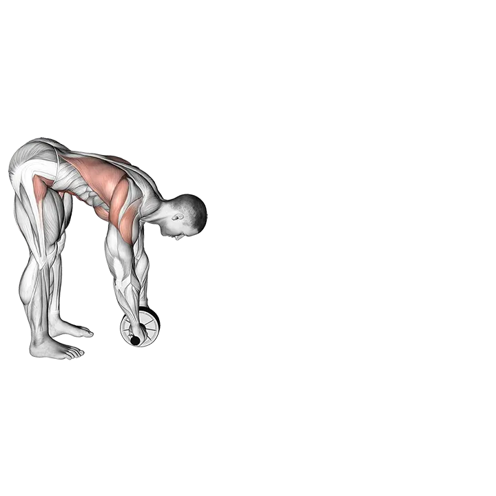 Standing Wheel Rollout exercise animation (Male)