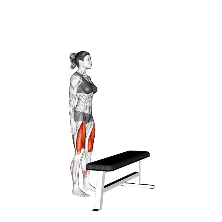 Step-up exercise animation (Female)
