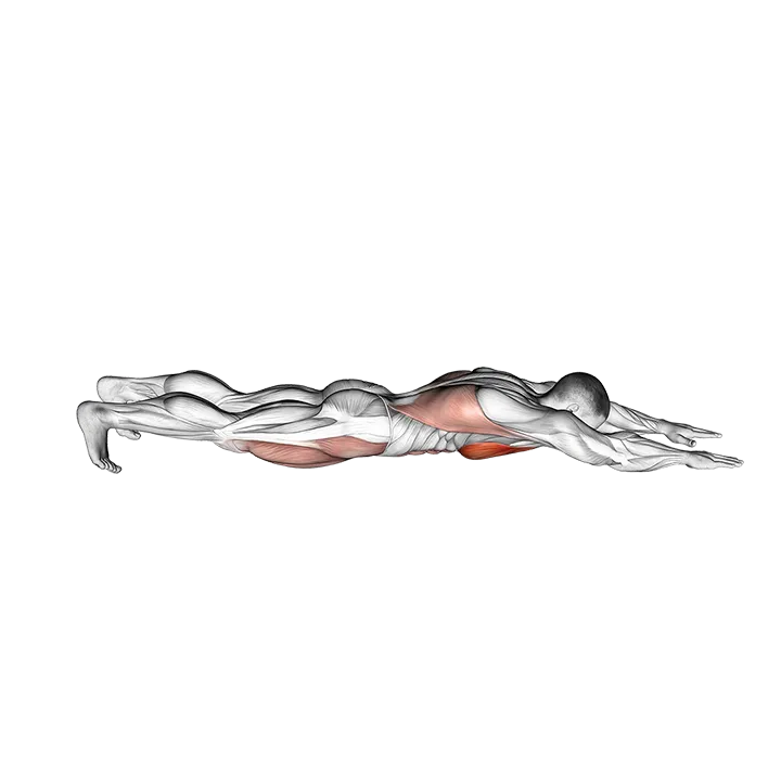 Superman Push-up exercise animation (Male)