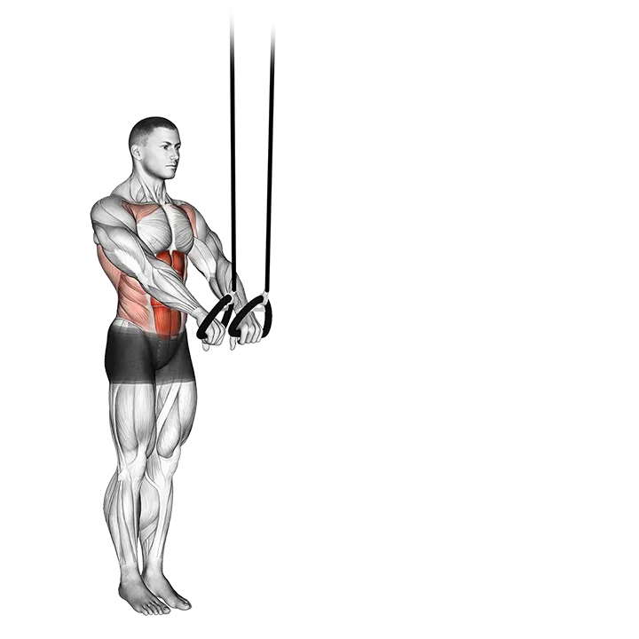 Suspended Abdominal Fallout exercise animation (Male)
